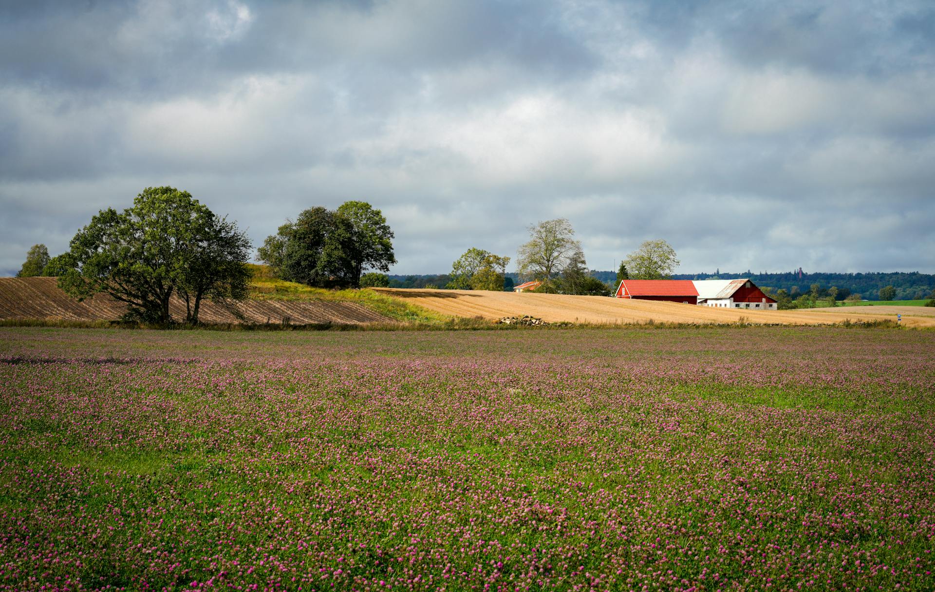 10 Acres Land in Karimo